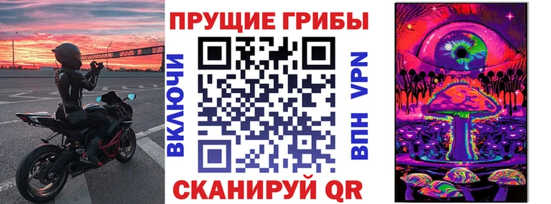 хочу наркоту  Дятьково  Галлюциногенные грибы MAGIC MUSHROOMS 