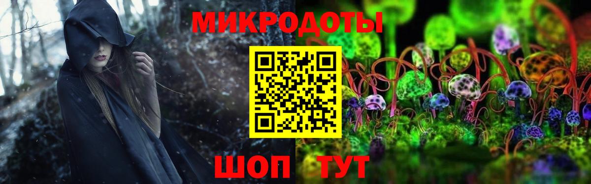 Псилоцибиновые грибы прущие грибы Дятьково